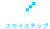 株式会社スカイステップ